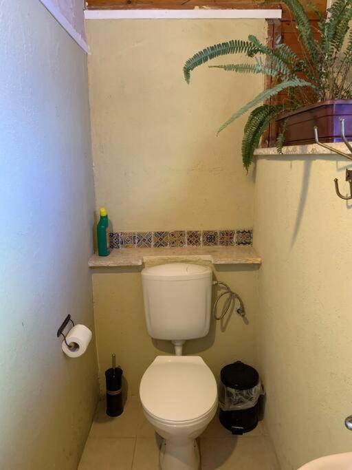 Apartment האבן העתיק מ-1885 עם מגונית פרטית בחצר *